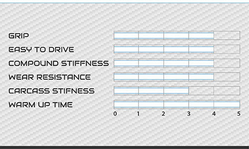 Vega WM1 wet tyre specification